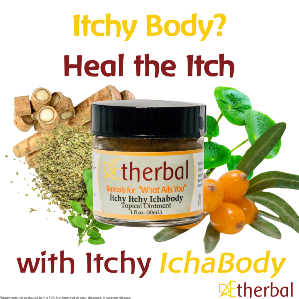 WHOLESALE Itchy Ichabody - Image 2